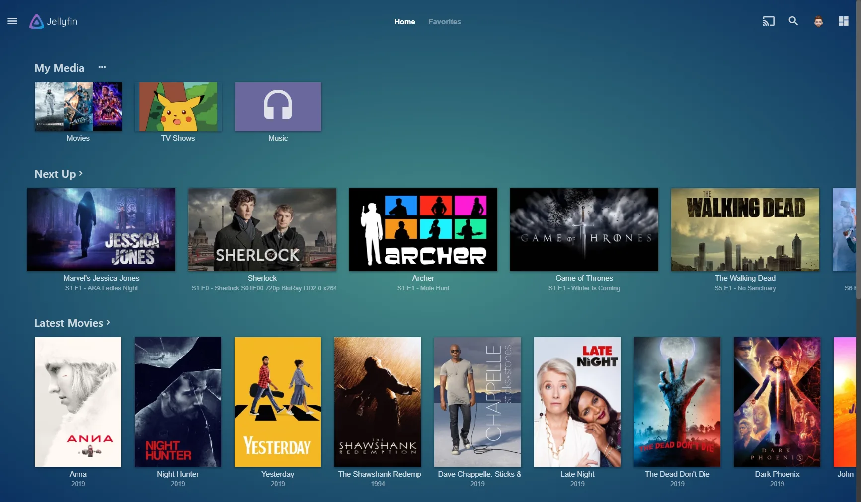 Jellyfin screenshot